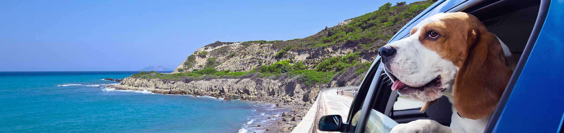 catamarano malta sicilia